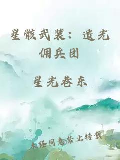 星骸武装：遗光佣兵团